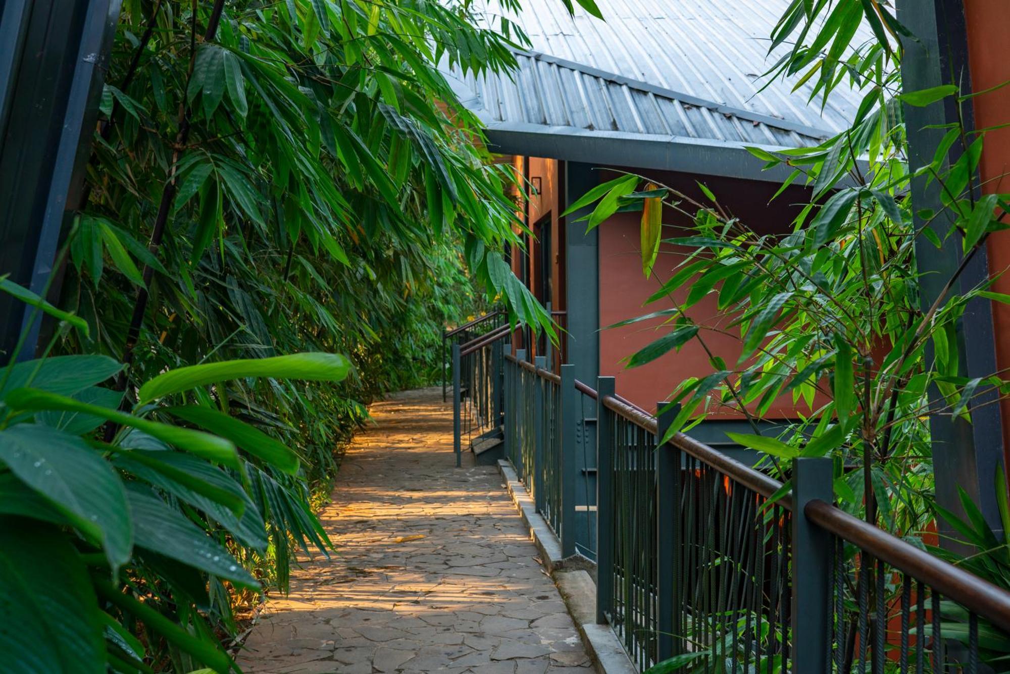 Vyna Hillock Resort And Spa Vythiri Εξωτερικό φωτογραφία